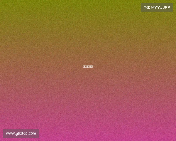 新疆赛总多少钱